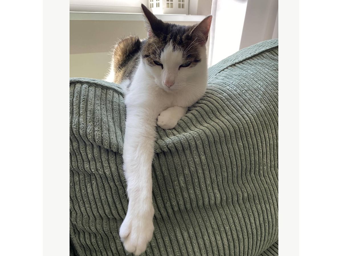 Cover for BEDDINGE 3-seat sofa bed, quilted with diamonds