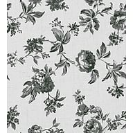 Rose black flower on white background R17