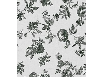 Rose black flower on white background R17