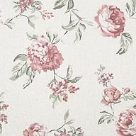 Rose flower on beige background R16