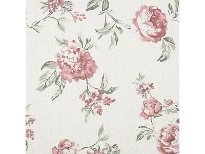 Rose flower on beige background R16