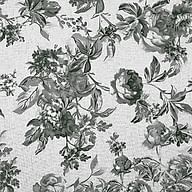 Rose Rose black flower on white background R17 L17