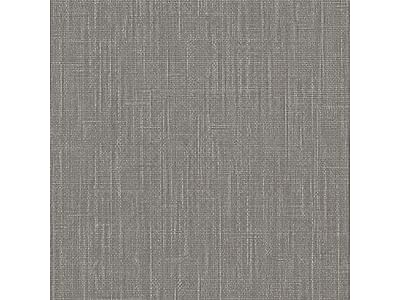 Light Gray EL03