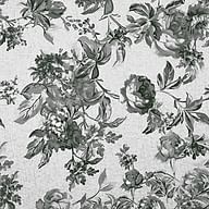 Rose black flower on white background R17